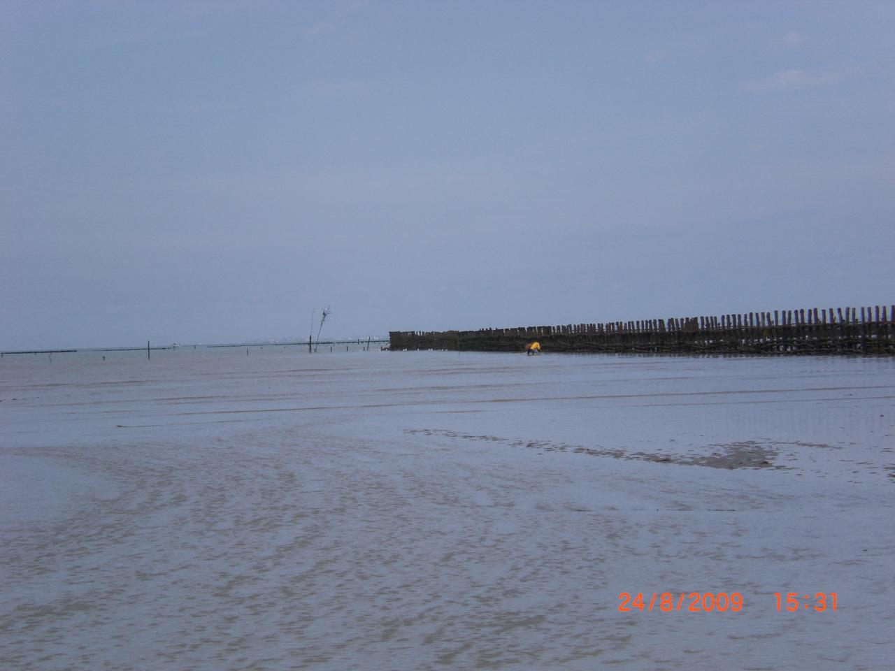 Pêcherie en baie du Mont-Saint-Michel